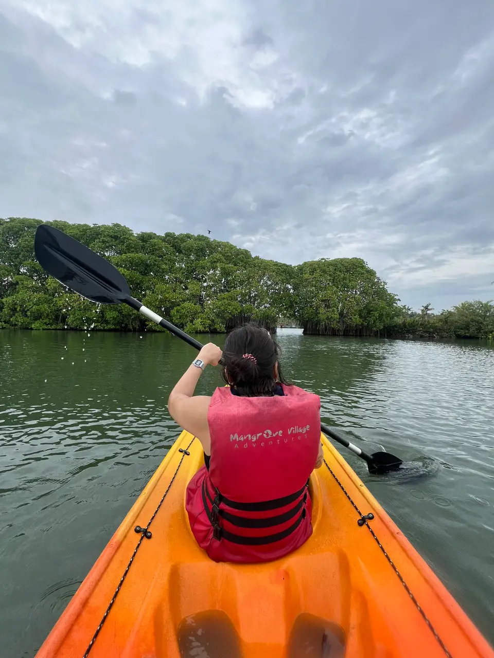 Paddling into the mangroves