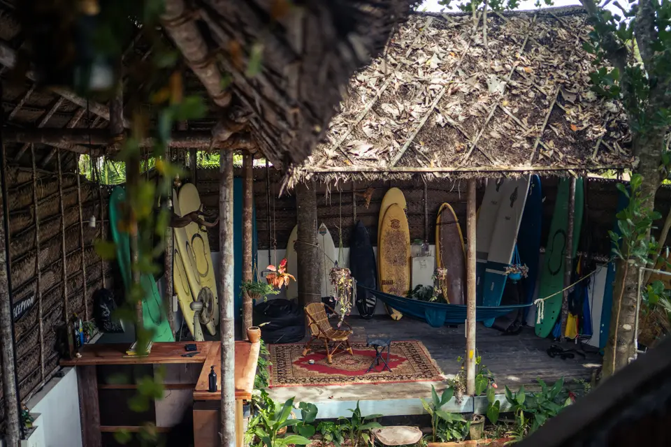 Boards racked under the thatch