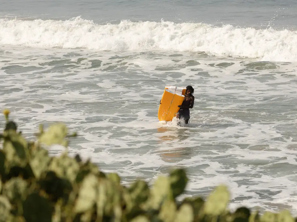 A surfer pushing a yellow board out through white water, seen past beach shrubs