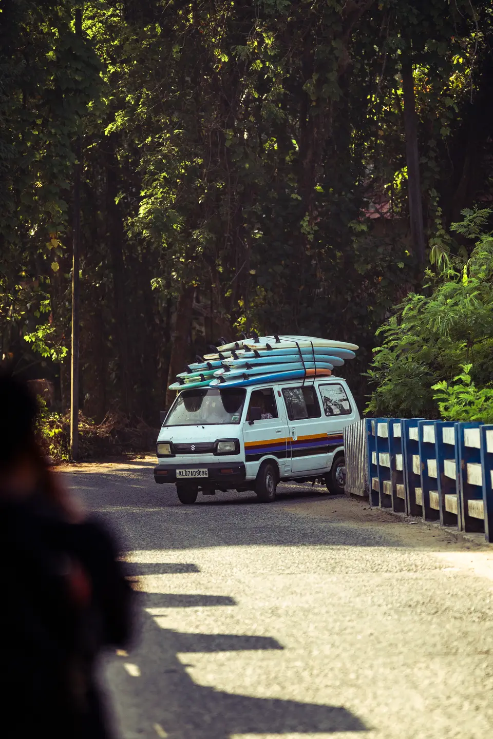 A white van with surfboards strapped to its roof, parked on a tree-lined road