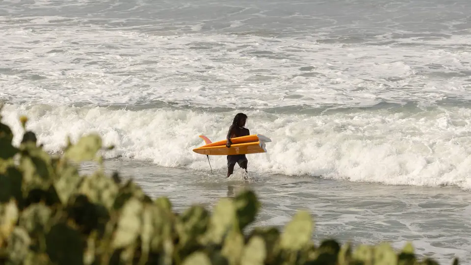 Surfers wading out with their boards at Edava beach, Varkala